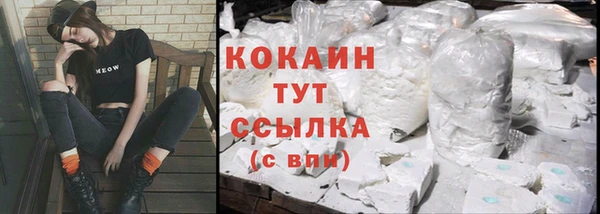 хмурый Белокуриха