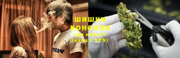 хмурый Белокуриха