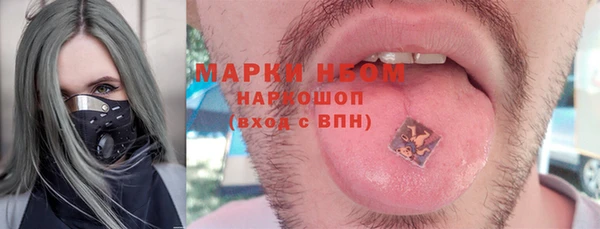 хмурый Белокуриха