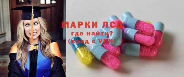 хмурый Белокуриха