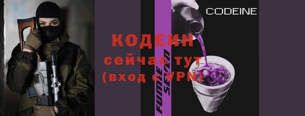сатива Беломорск