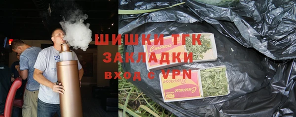 хмурый Белокуриха