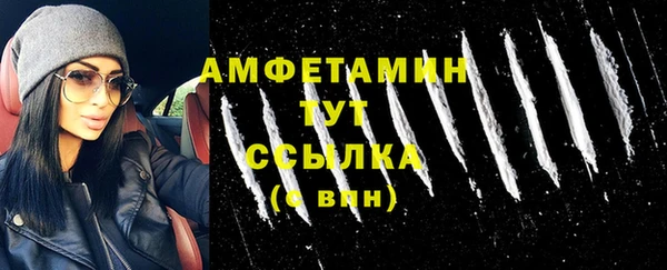 сатива Беломорск