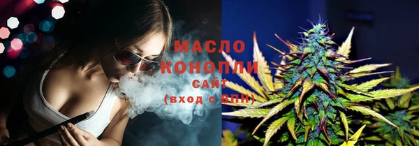хмурый Белокуриха